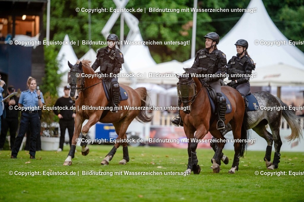 20250606_Lange-Pferdenacht_0755 | Foto: Thomas Hartig