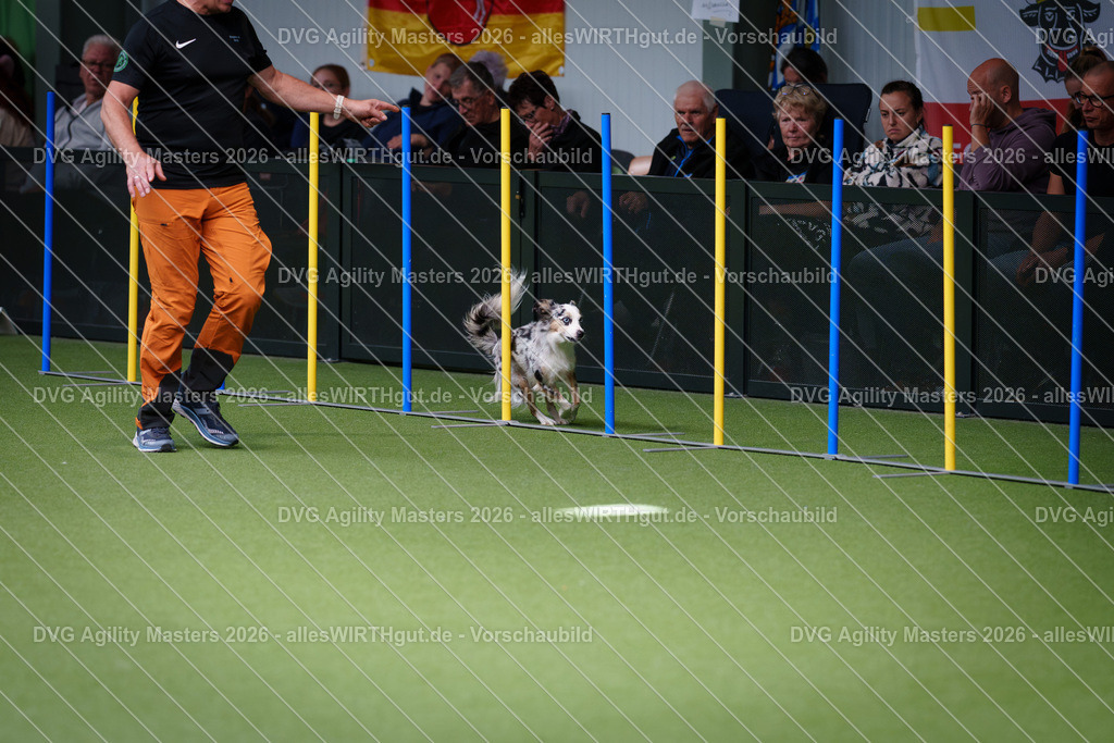 allesWIRTHgut_Tierfotografie-DVG_Agility_Masters_2026-11_15-7R505339 | Professionelle Tierfotografie in Mönchengladbach von Daniel Wirth (allesWIRTHgut). Liebevolle & natürliche Bilder von Hunden & Katzen für unvergessliche Erinnerungen.