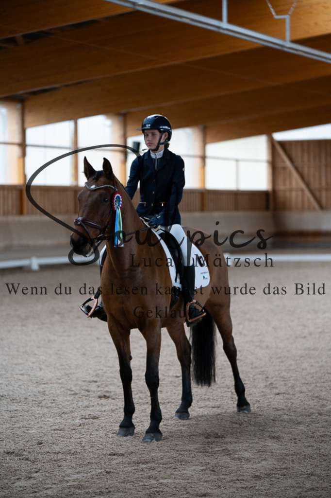 A7V02706 | Pferdefotograf