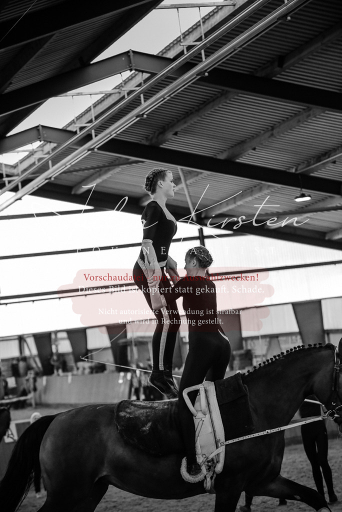 DSC_6919 | Pferde- und Turnierfotografie in Westsachsen. Pferdeportraits, Auftragszeichnungen und intuitive Kunst.
