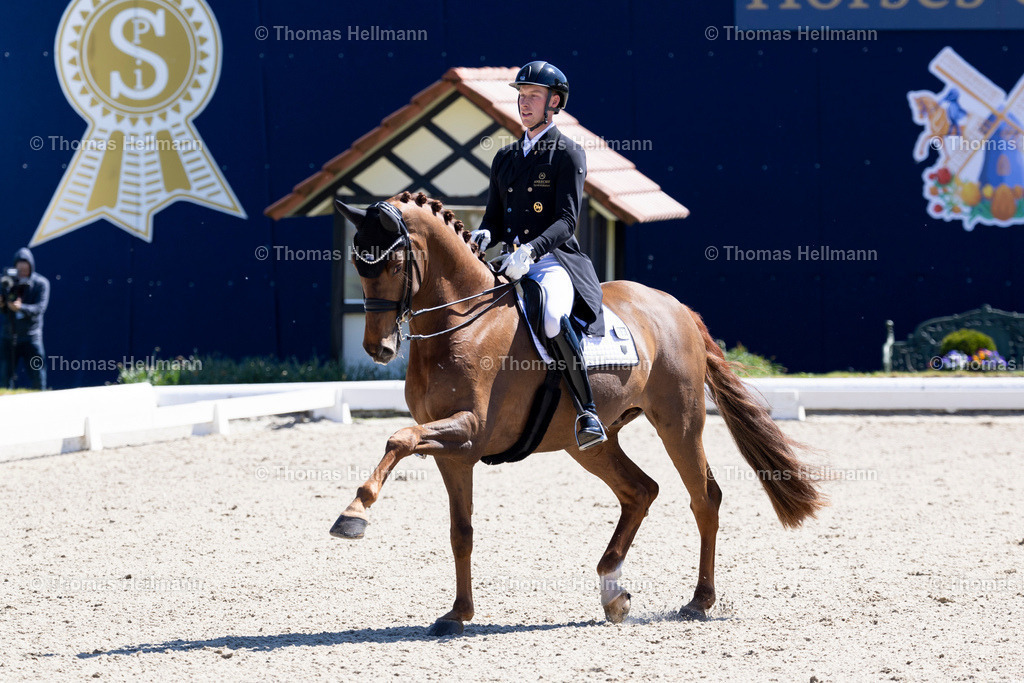 TH_593-Veuve Clicquot FRH_ Ligus Lars_28026 | Horses &amp; Dreams 2025 am 27.04.25 in Hagen a.T.W., Thomas Hellmann, 593Veuve Clicquot FRH, Ligus Lars