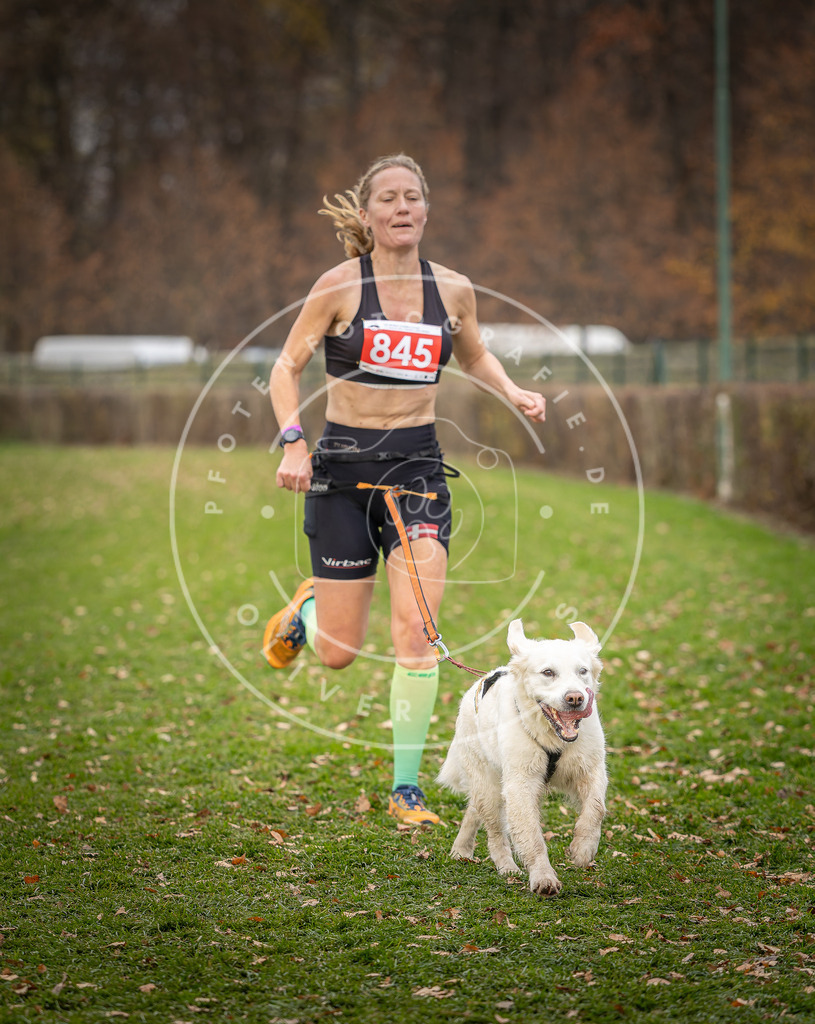 CaniXpix_DV3A6486 | Hundefotografie, Tierfotograf, Pfotenfotografie, Fotoshooting Hund, Hunde Portrait, Hundesport, Hundeportraits, Heideshooting, Hunde, Sportfotograf, Hundefotograf, Turnierhundsport, THS,  - Realisiert mit Pictrs.com