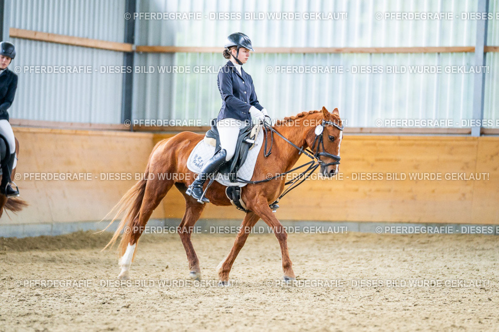 DSC03972 | Pferdegrafie