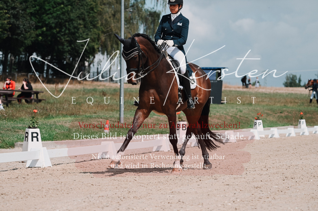 DSC_3846 | Pferde- und Turnierfotografie in Westsachsen. Pferdeportraits, Auftragszeichnungen und intuitive Kunst.