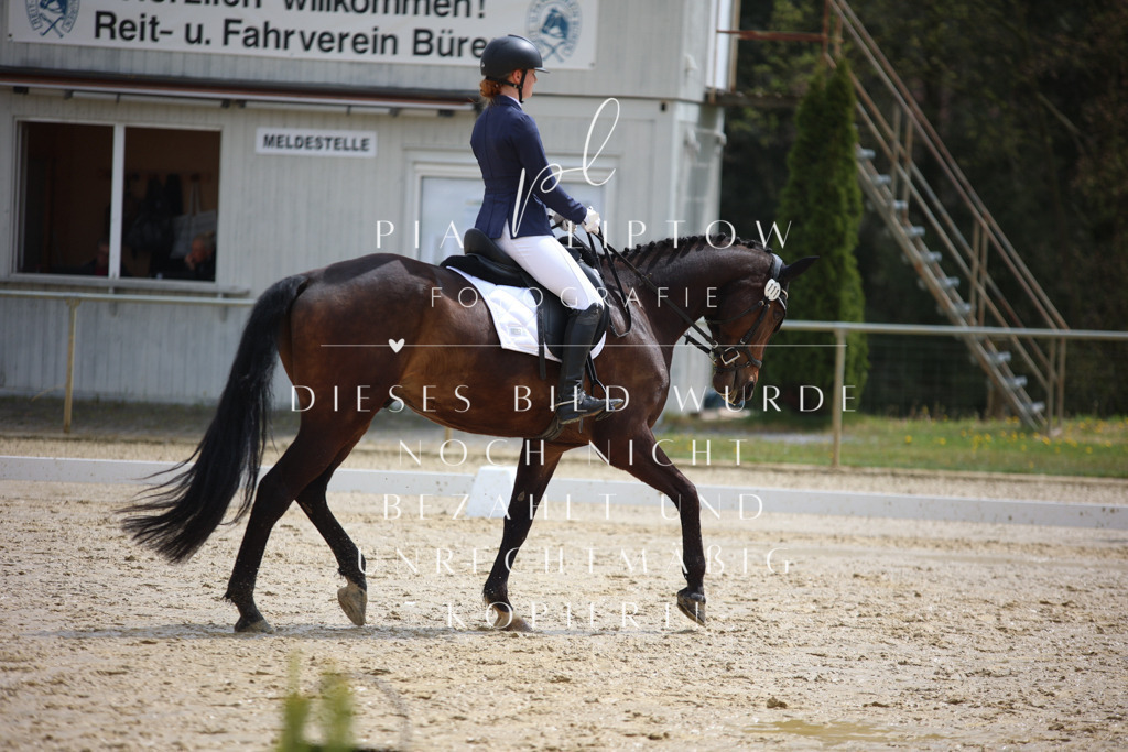 IMGT3148 | pl-fotografie