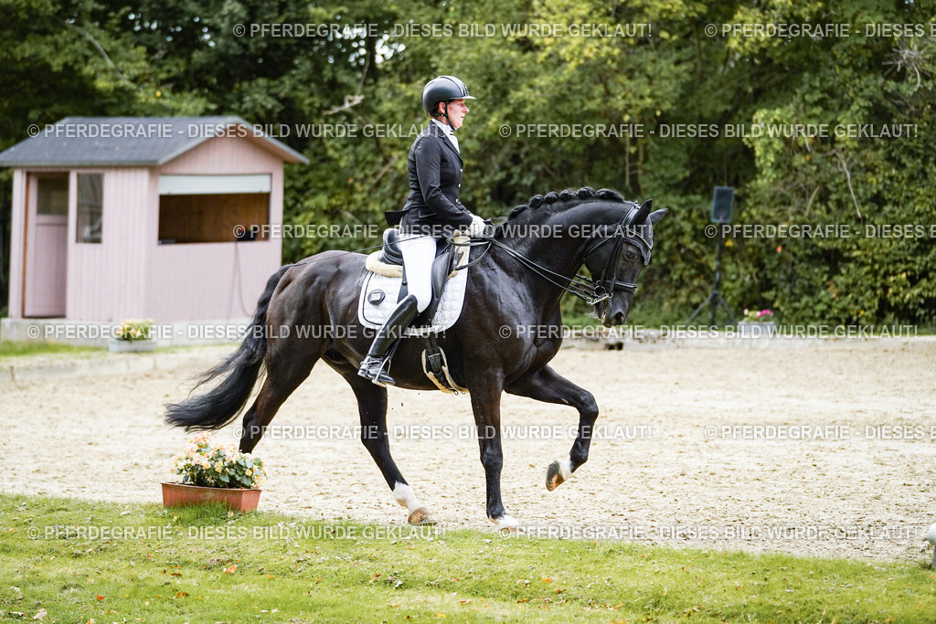 DSC02192 | Pferdegrafie