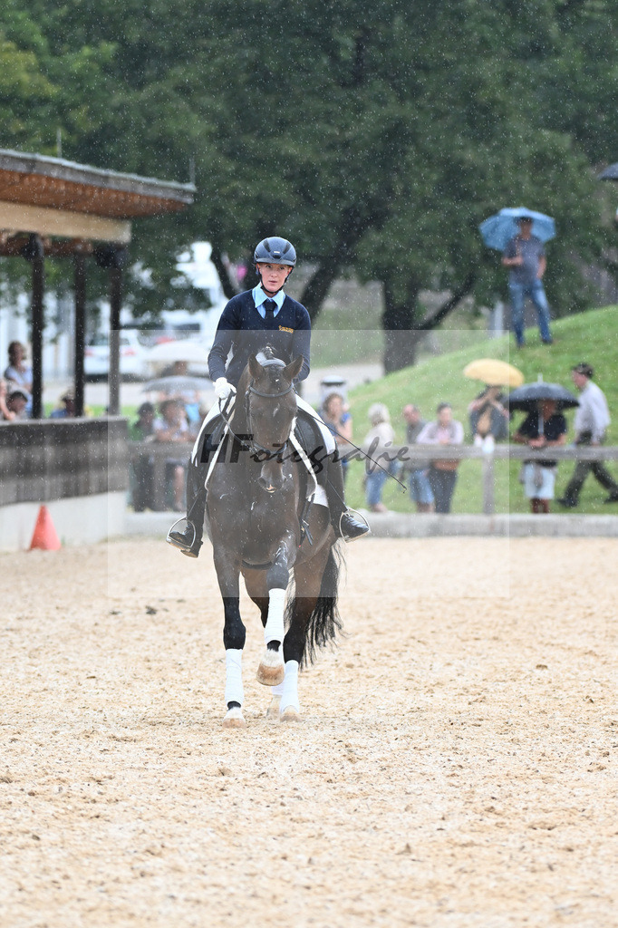 Sparten des Reitsports aus der eigenen Zucht_36240933 | hf-fotografie - Realisiert mit Pictrs.com