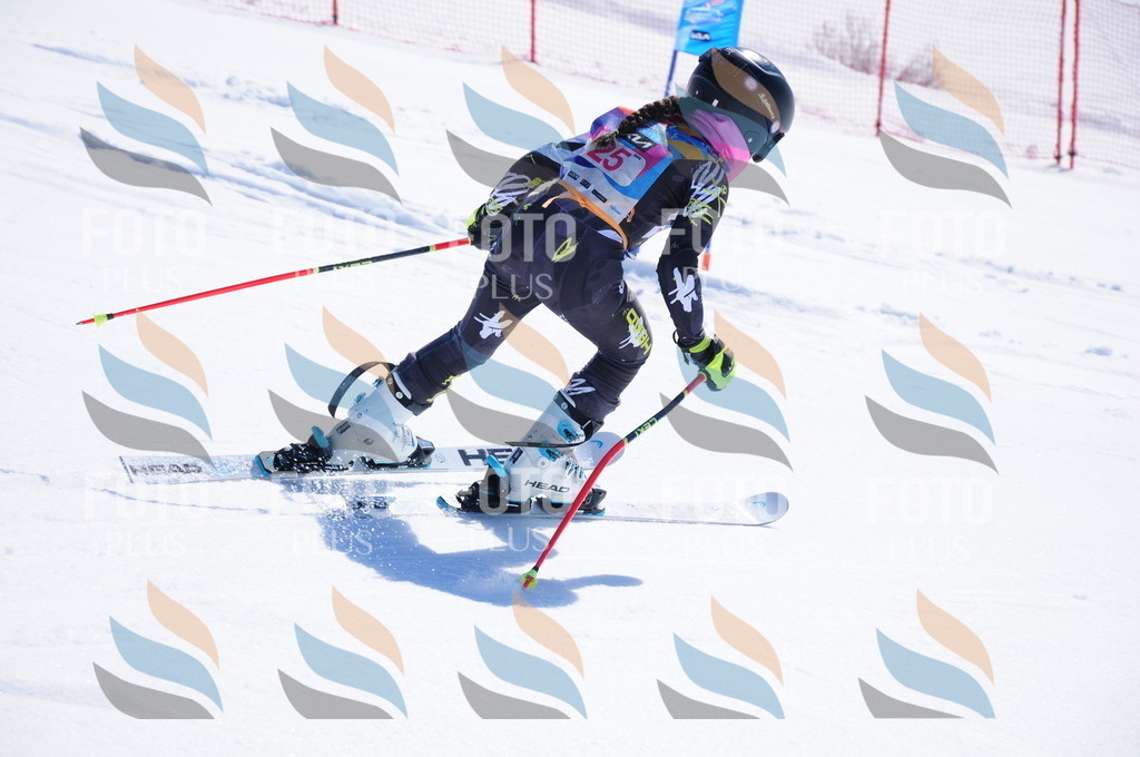 DSC_3867 | holidayphoto