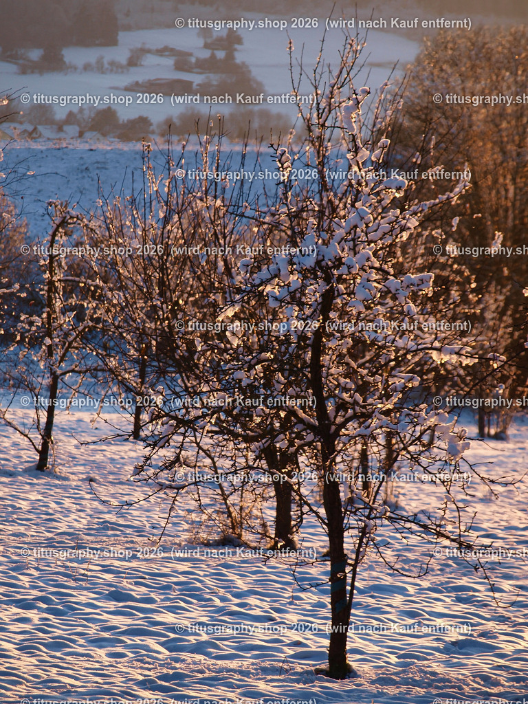 phototitusgraphy Winterimpressionen-Edition 001 | Fotokunstarbeit aus der INSTAGRAM-Gallerie auf titusgraphy.eu - Realisiert mit Pictrs.com