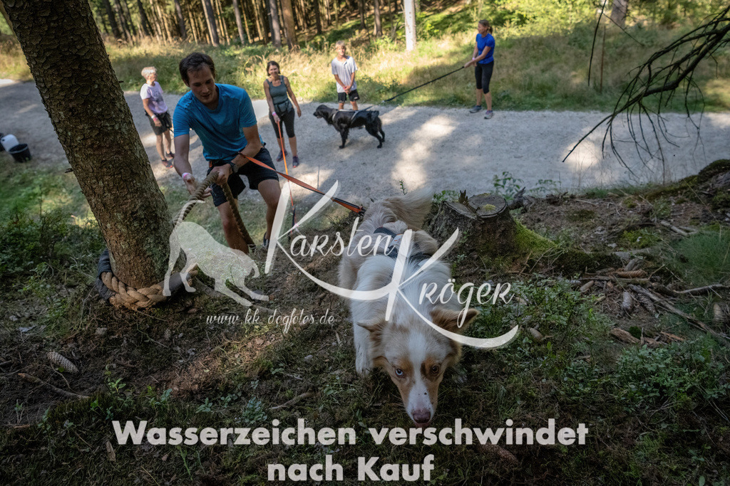 1214_ZZ93571 | kk-dogfotos
