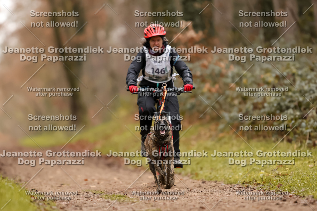Dog Paparazzi - Speedhunter Mannheim  2025-405 | Dog Paparazzi Jeanette Grottendiek Fotografie & Videografie