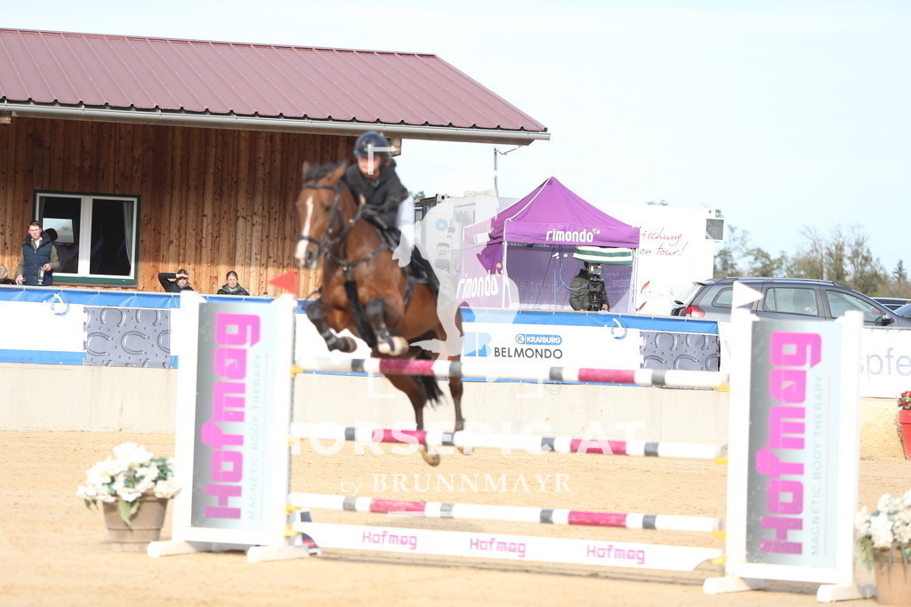 DL2Q6230 | Willkommen bei Brunnmayr - Design & Fotografie – Ihrem Spezialisten für Reitturniere und Pferdeveranstaltungen in Oberösterreich, Salzburg und Bayern! Seit über 17 Jahren sind wir leidenschaftlich dabei.