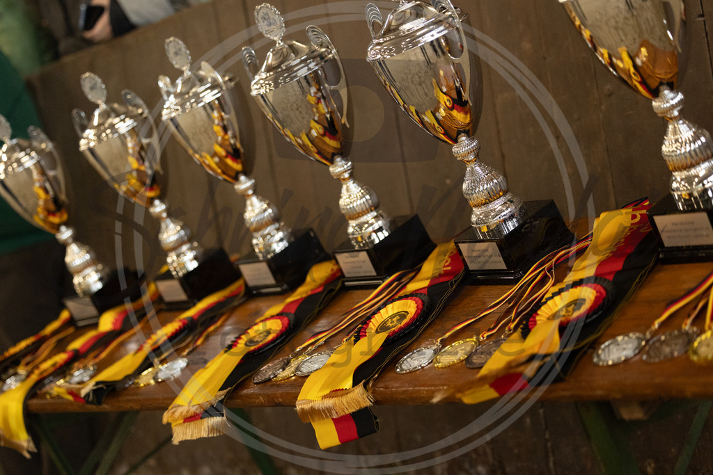 994A2552 | sabrinanicolaifotografie - Realisiert mit Pictrs.com