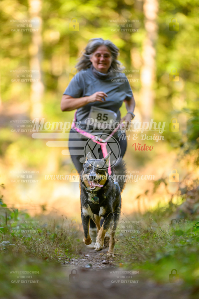 MompixPhotography_Yens2025_B3-154 | PayLife