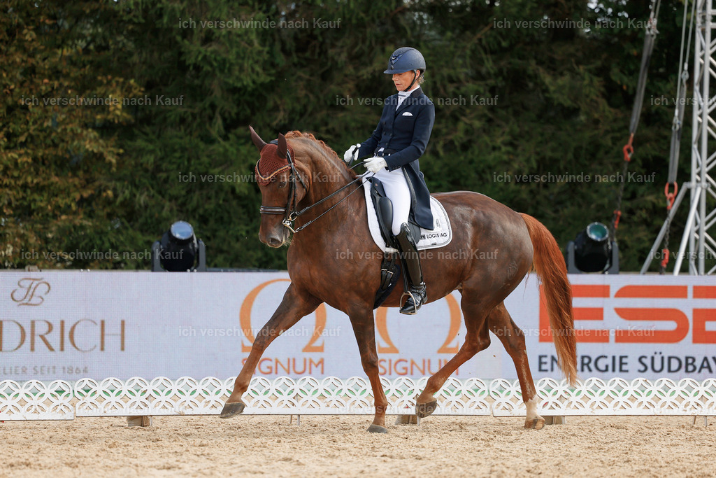 09_2-094-DRESSUR  S_  -StoibPH-5857 | working equitationturnier fotograf videograf stoibphotography marixx film working equitation deutschland reitsport turnierfotografie eventfotografie equestrian events