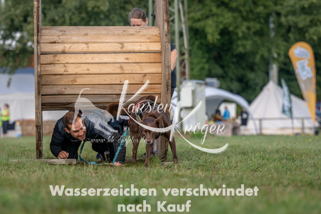 1009_ZZ91710 | kk-dogfotos