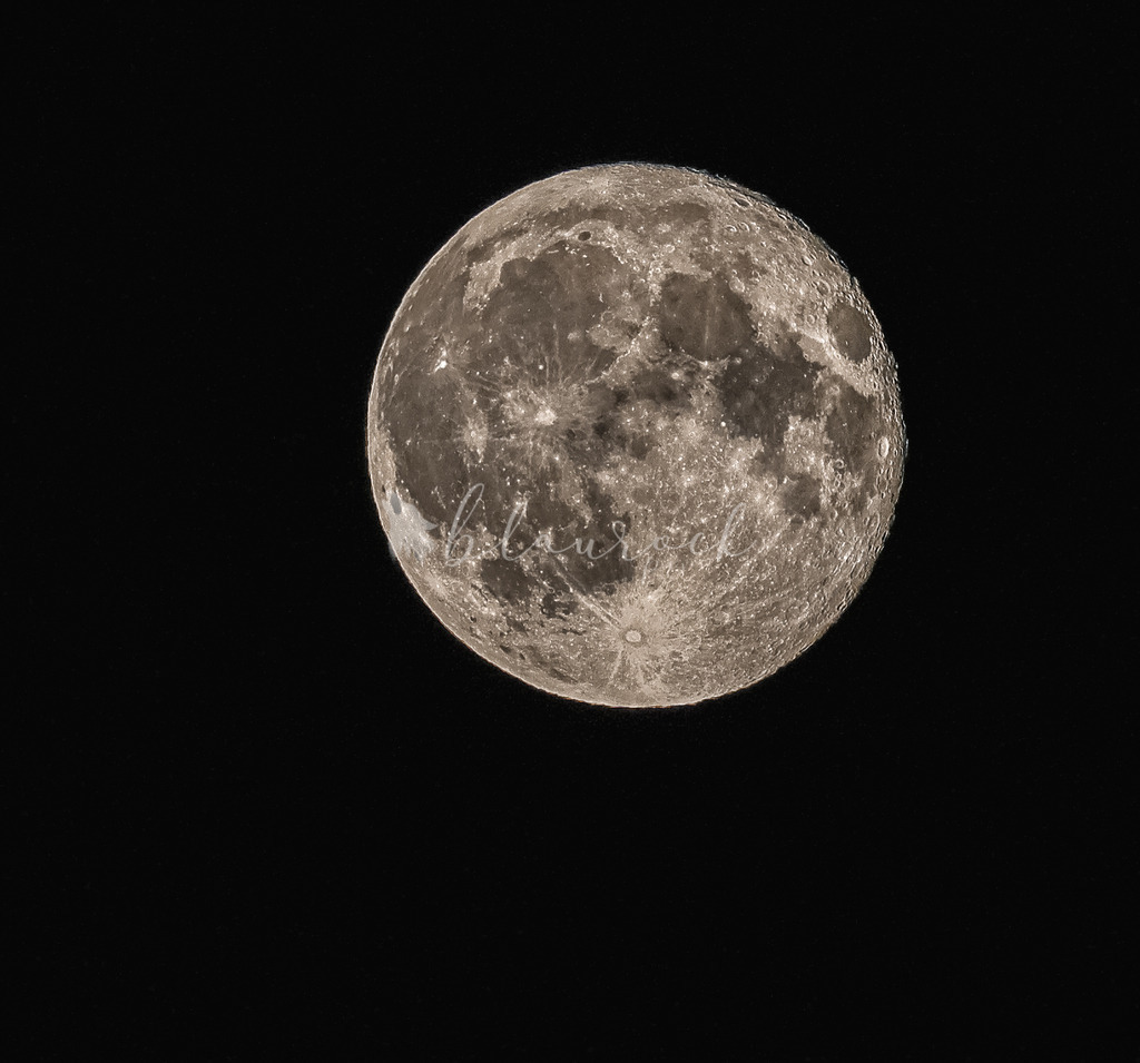 2J4A6866-2 | Sportbilder, Sportfotograf, Hochzeits- und Eventfotografin, Flugshows, Portraits und Tiershooting, Aviation, Downhill, Nationalleague, Swissleague, International