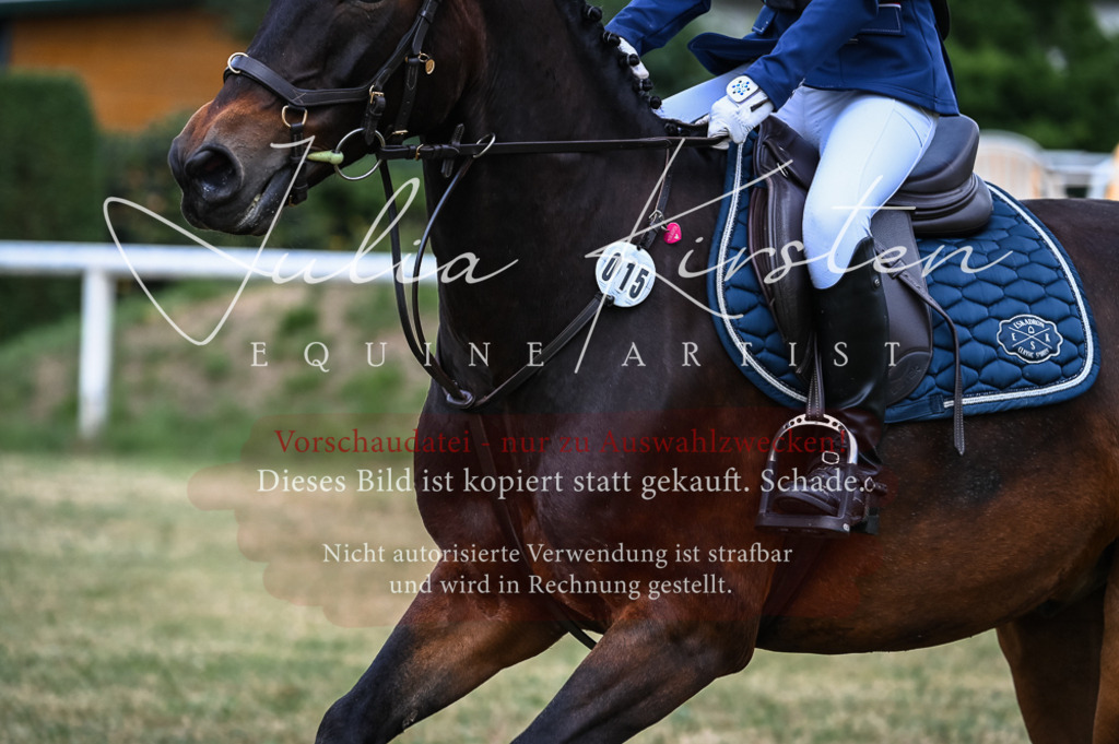 DSC_8232 | Pferde- und Turnierfotografie in Westsachsen. Pferdeportraits, Auftragszeichnungen und intuitive Kunst.