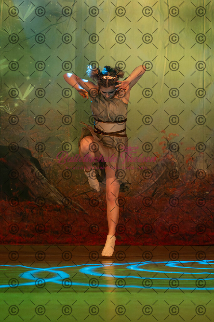 Ballettaufführung-1438 | Bildershop Lem'n Entertainment - Realisiert mit Pictrs.com