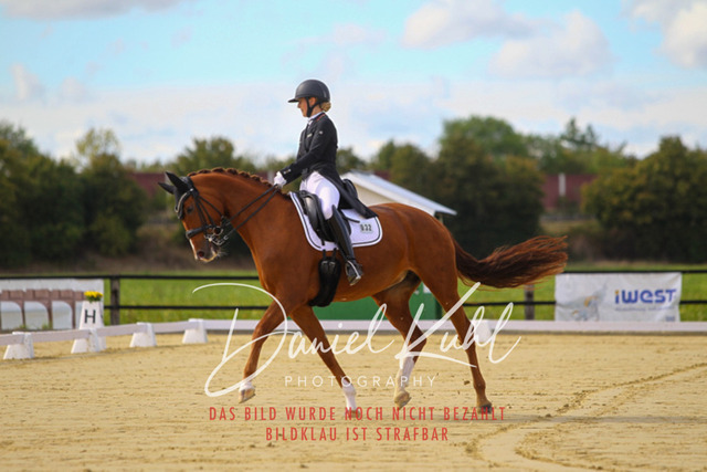 DKP44371 | Turniersportfotografie; Pferdefotografie; Dressurfotografie