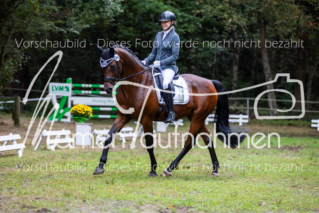 HB-A-Dressur-088 | MomenTaufnahmen Pferdesportfotos