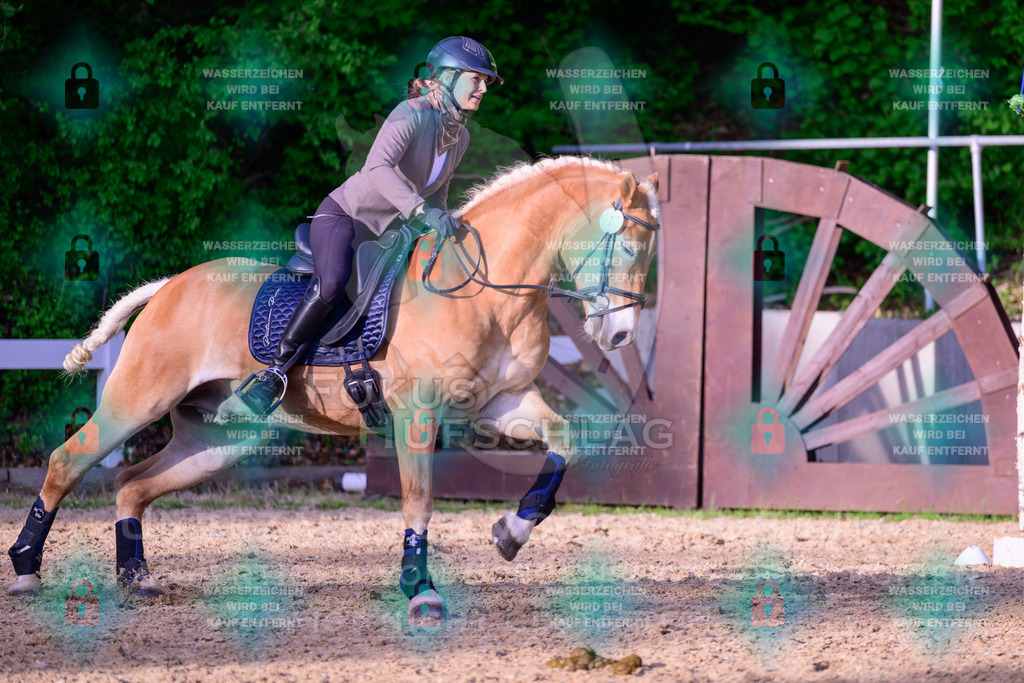 02052026-Giesenbach-03-Speedtrail-0860 | Fokus Hufschlag Fotografie - Realisiert mit Pictrs.com