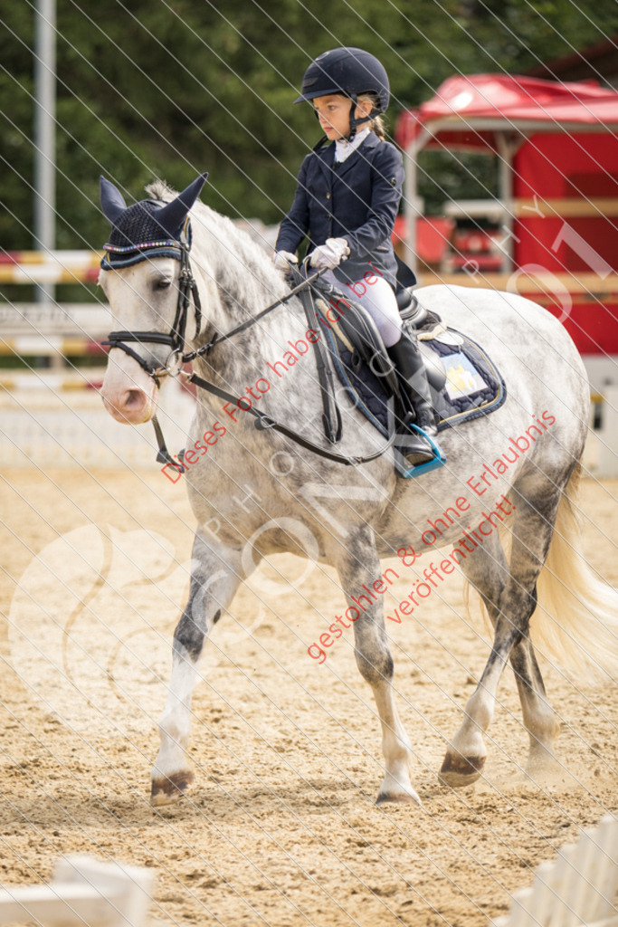 CON_0163 | Sport-, Event- und Tierfotos in Profiqualität. Einfach auswählen, bestellen und herunterladen. Dein Moment – perfekt festgehalten.