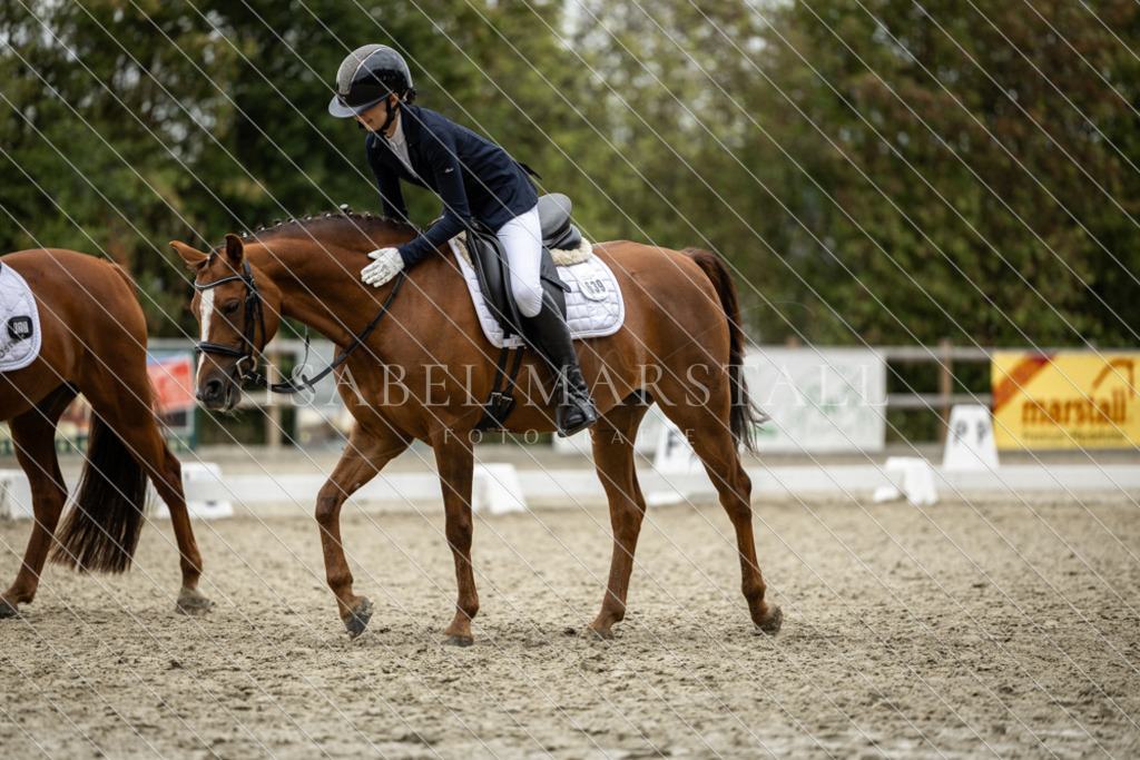 DK5A8116 | Isabel Marstall Fotografie - Realisiert mit Pictrs.com