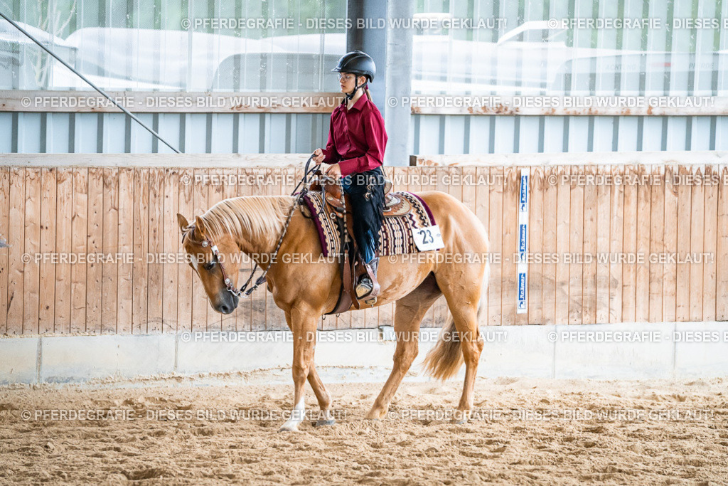 DSC01341 | Pferdegrafie