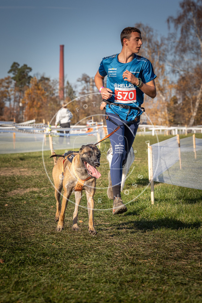 CaniXpix_0L8A8092 | Hundefotografie, Tierfotograf, Pfotenfotografie, Fotoshooting Hund, Hunde Portrait, Hundesport, Hundeportraits, Heideshooting, Hunde, Sportfotograf, Hundefotograf, Turnierhundsport, THS,  - Realisiert mit Pictrs.com