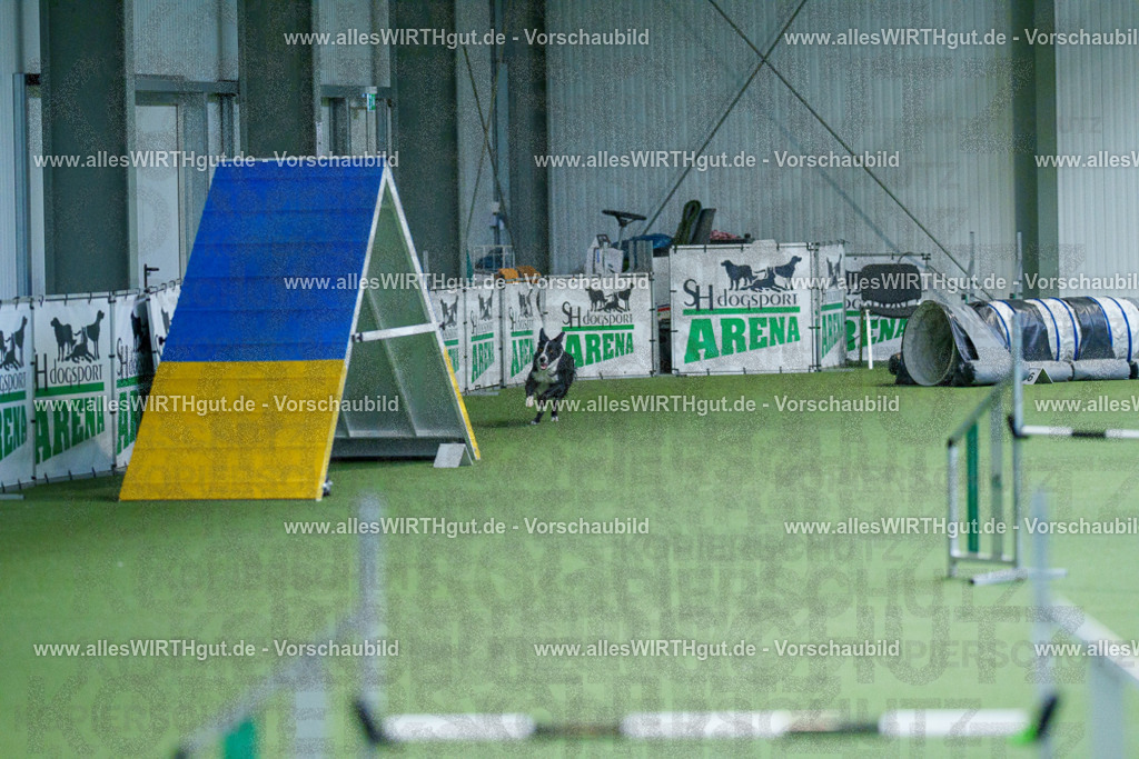 @allesWIRTHgut_Tierfotografie - www.allesWIRTHgut.de - 2604260831-7R507035 | Professionelle Tierfotografie in Mönchengladbach von Daniel Wirth (allesWIRTHgut). Liebevolle & natürliche Bilder von Hunden & Katzen für unvergessliche Erinnerungen.
