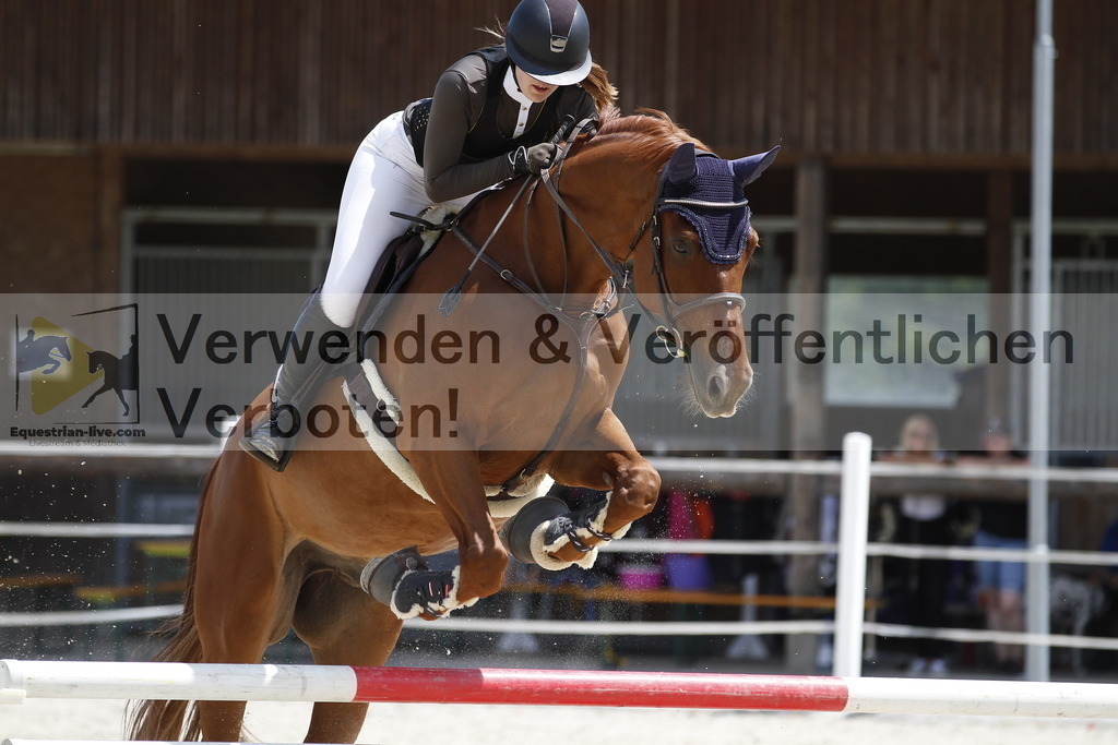 _MG_4706 | equestrian-live-com