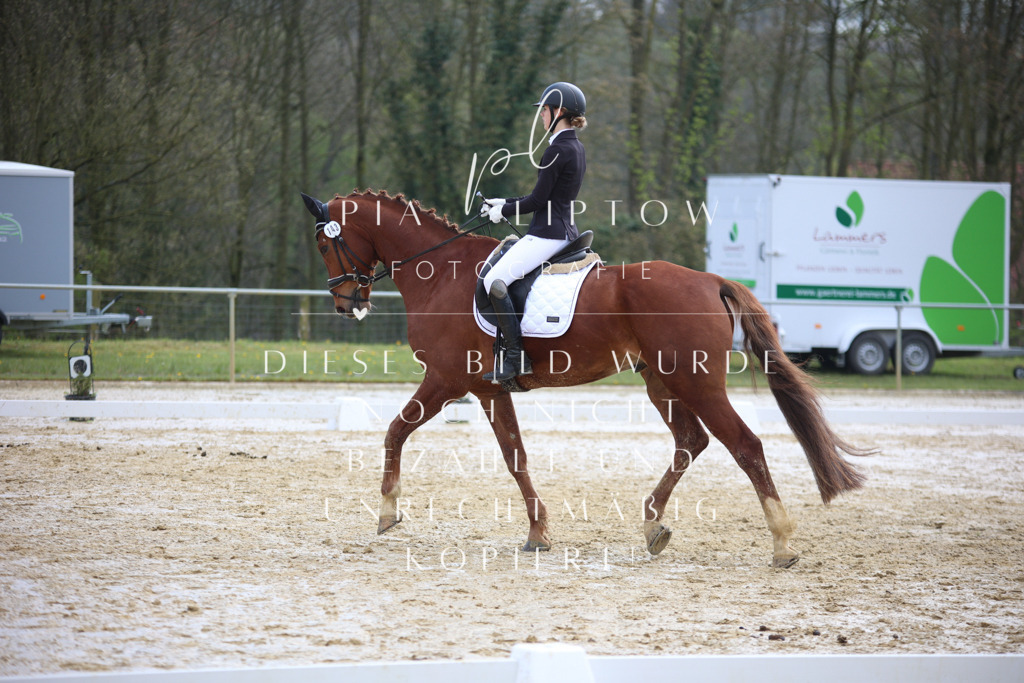 IMGT3445 | pl-fotografie