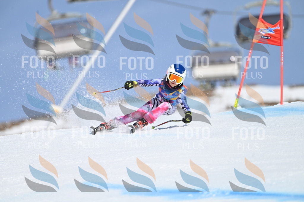 BGV_9711 | holidayphoto