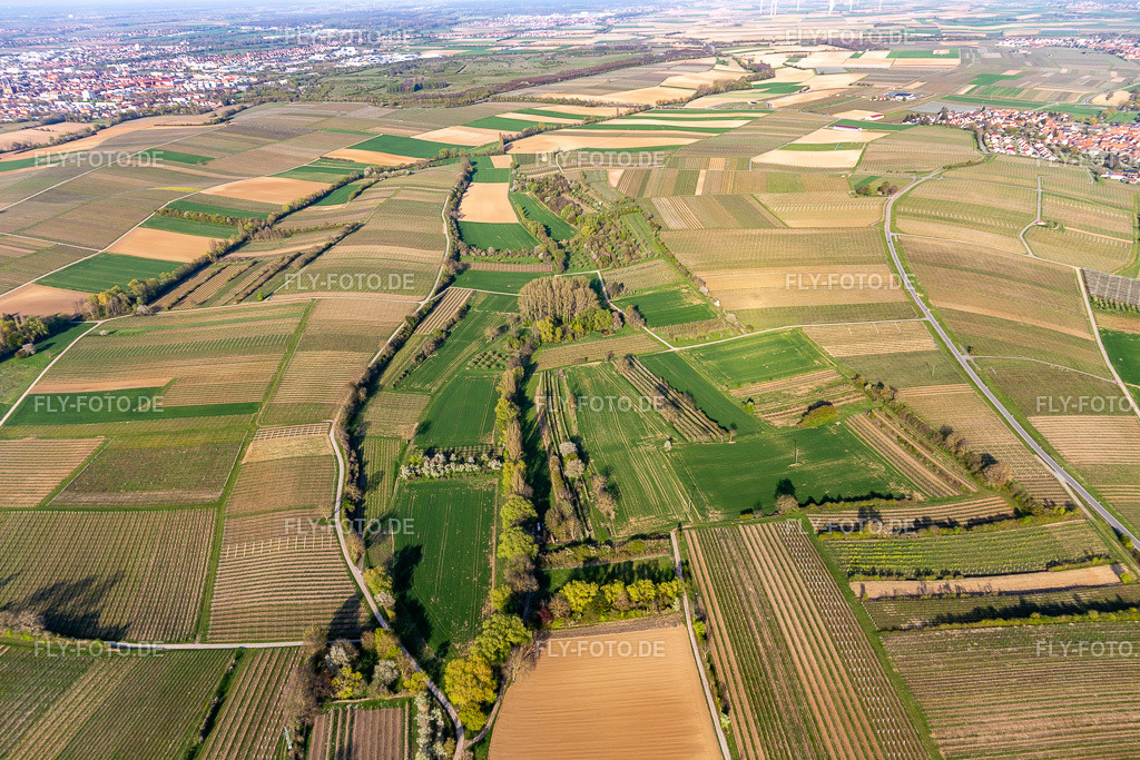 Brühlgraben | Luftbild: Brühlgraben im Ortsteil Mörzheim in Landau im Bundesland Rheinland-Pfalz in Deutschland. Foto: IMG_126428.jpg vom 20.04.2021 durch ©2025 Werner Riehm fly-foto.de/copyright - Realisiert mit Pictrs.com