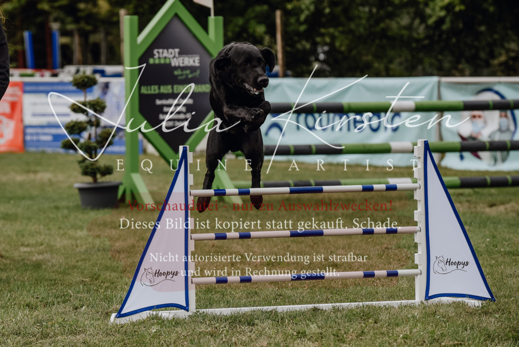 DSC_3999 | Pferde- und Turnierfotografie in Westsachsen. Pferdeportraits, Auftragszeichnungen und intuitive Kunst.
