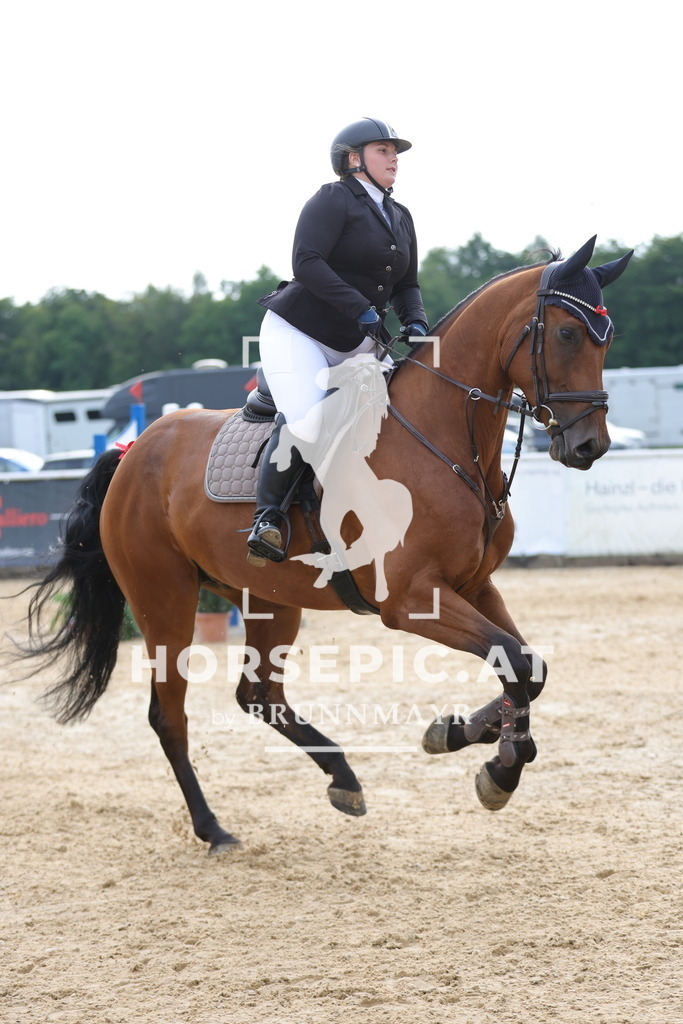 0P6A1747 | Willkommen bei Brunnmayr - Design & Fotografie – Ihrem Spezialisten für Reitturniere und Pferdeveranstaltungen in Oberösterreich, Salzburg und Bayern! Seit über 17 Jahren sind wir leidenschaftlich dabei.