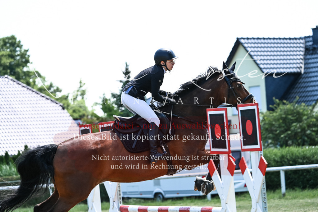 DSC_0050 | Pferde- und Turnierfotografie in Westsachsen. Pferdeportraits, Auftragszeichnungen und intuitive Kunst.