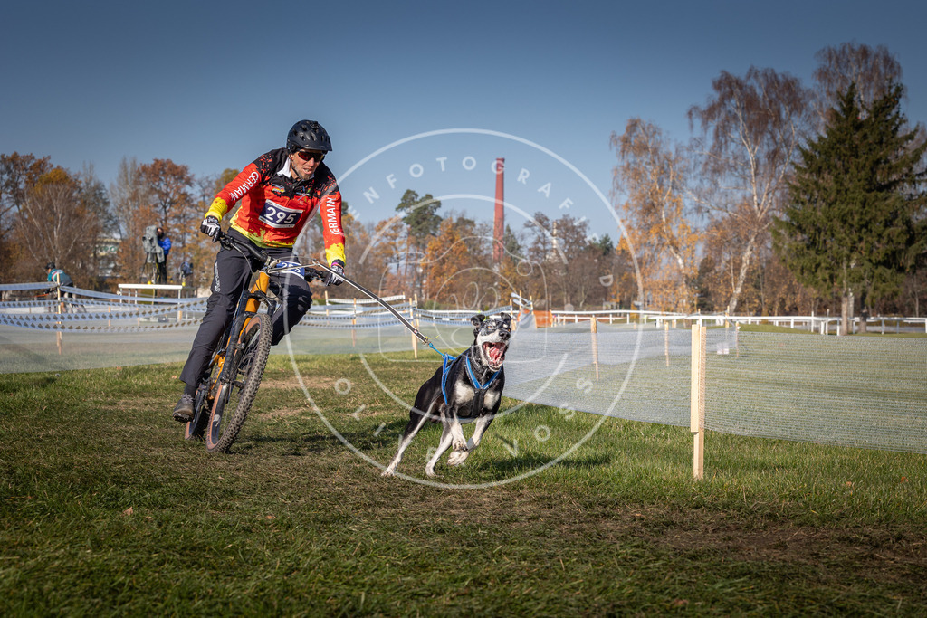 CaniXpix_0L8A7248 | Hundefotografie, Tierfotograf, Pfotenfotografie, Fotoshooting Hund, Hunde Portrait, Hundesport, Hundeportraits, Heideshooting, Hunde, Sportfotograf, Hundefotograf, Turnierhundsport, THS,  - Realisiert mit Pictrs.com