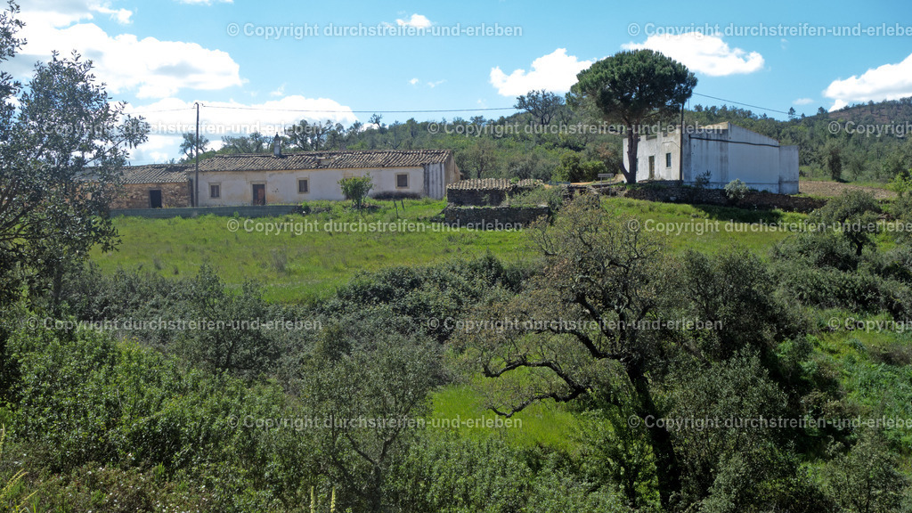 Siedlung Barrigões nahe Cortelha, Serra do Caldeirão, Algarve | Siedlung Barrigões nahe Cortelha, Serra do Caldeirão, Algarve - Realisiert mit Pictrs.com