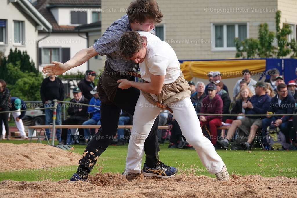 DSC03985 | Schwingen - Realisiert mit Pictrs.com