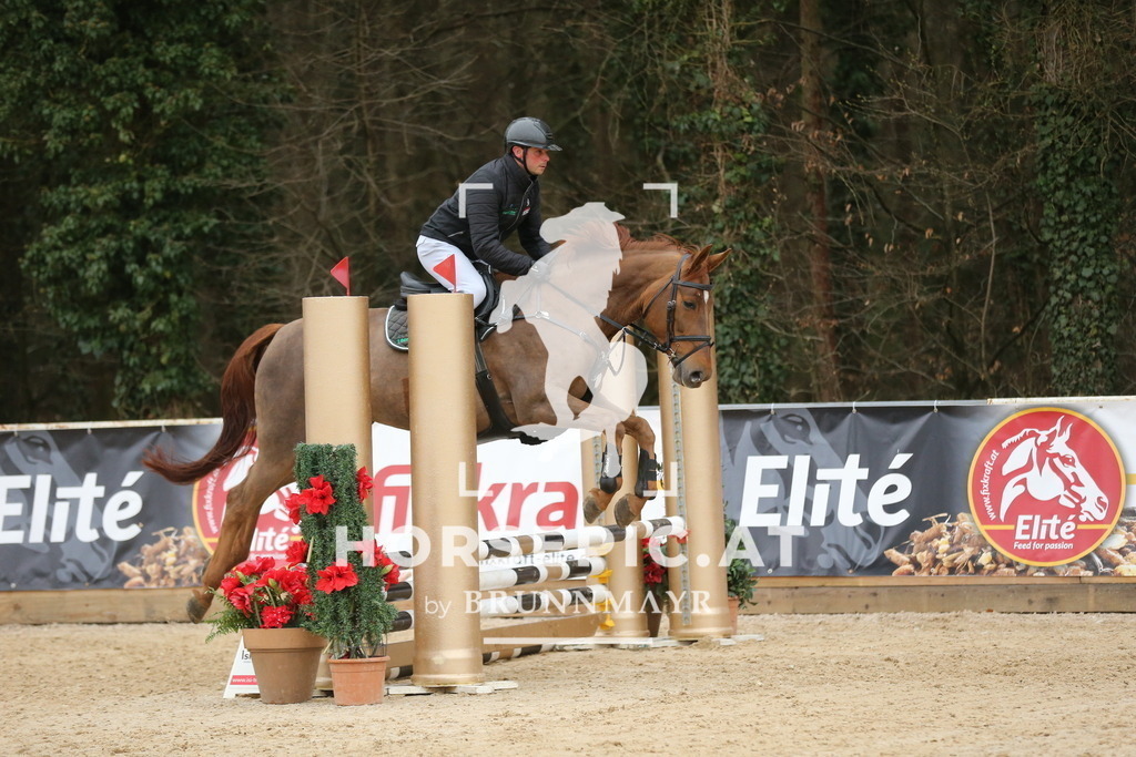 DL2Q5171 | Willkommen bei Brunnmayr - Design & Fotografie – Ihrem Spezialisten für Reitturniere und Pferdeveranstaltungen in Oberösterreich, Salzburg und Bayern! Seit über 17 Jahren sind wir leidenschaftlich dabei.