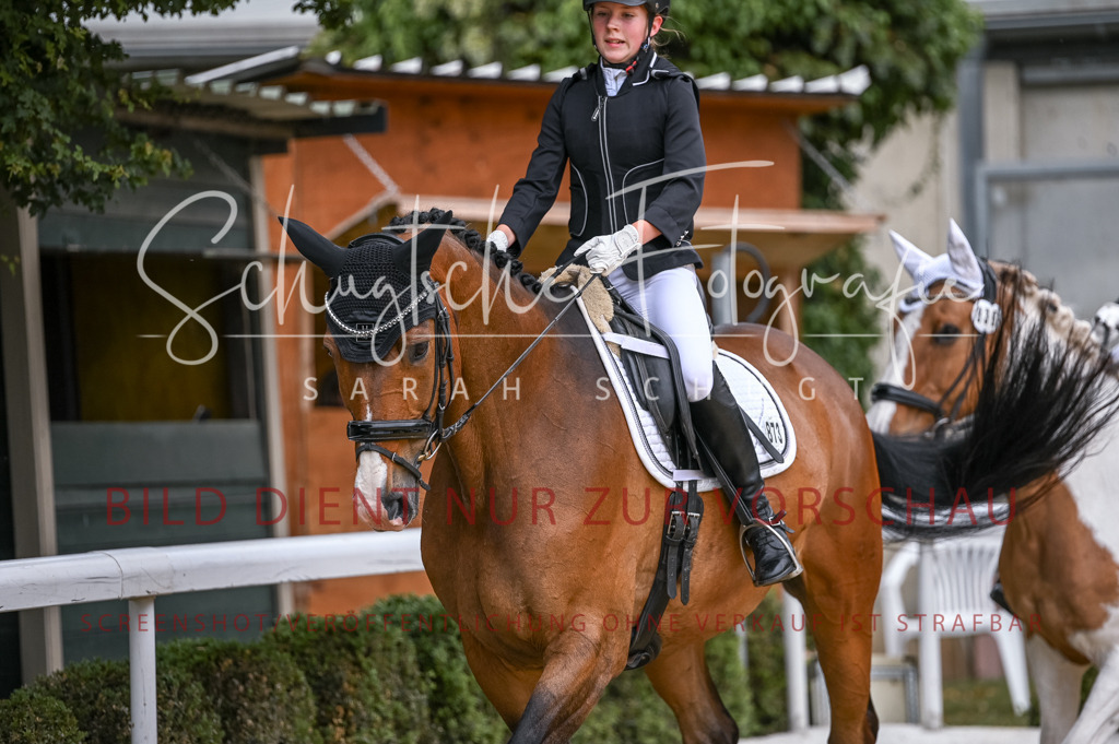 Schugtsche-Aluta25-43.EDressur -77 | Schugtsche Fotografie - Realisiert mit Pictrs.com