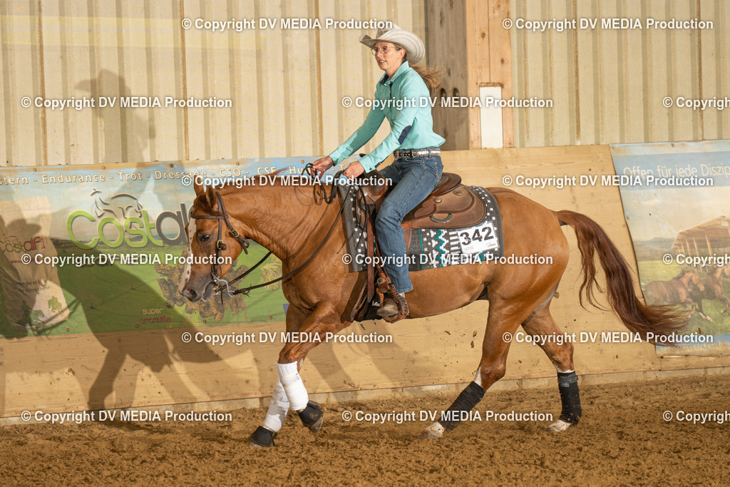 LAU00378 | dv-media-shop - Realisiert mit Pictrs.com