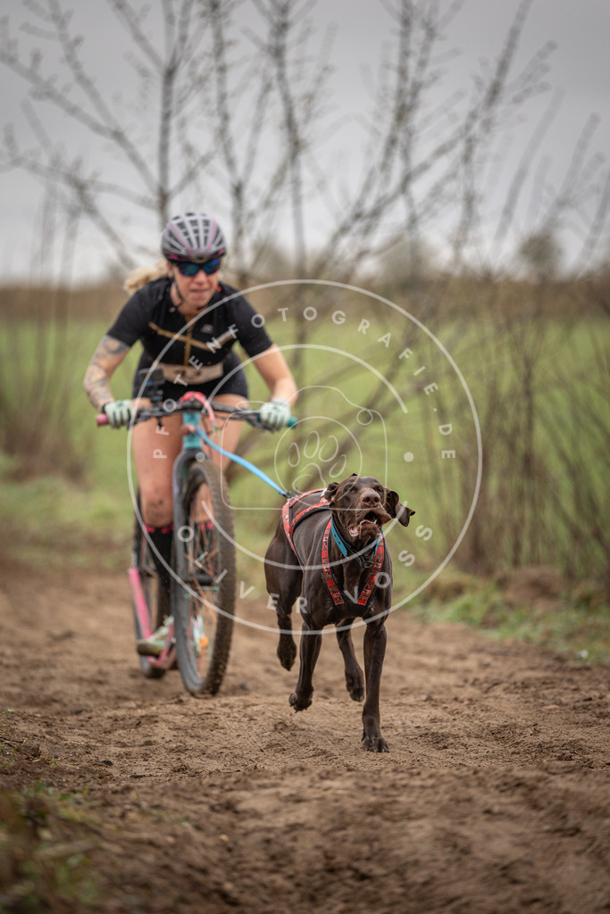 DV3A9168 | Hundefotografie, Tierfotograf, Pfotenfotografie, Fotoshooting Hund, Hunde Portrait, Hundesport, Hundeportraits, Heideshooting, Hunde, Sportfotograf, Hundefotograf, Turnierhundsport, THS,  - Realisiert mit Pictrs.com