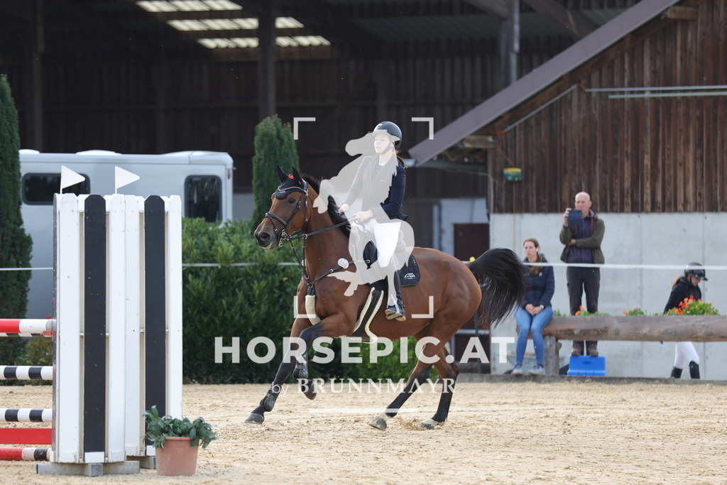0P6A5152 | Willkommen bei Brunnmayr - Design & Fotografie – Ihrem Spezialisten für Reitturniere und Pferdeveranstaltungen in Oberösterreich, Salzburg und Bayern! Seit über 17 Jahren sind wir leidenschaftlich dabei.