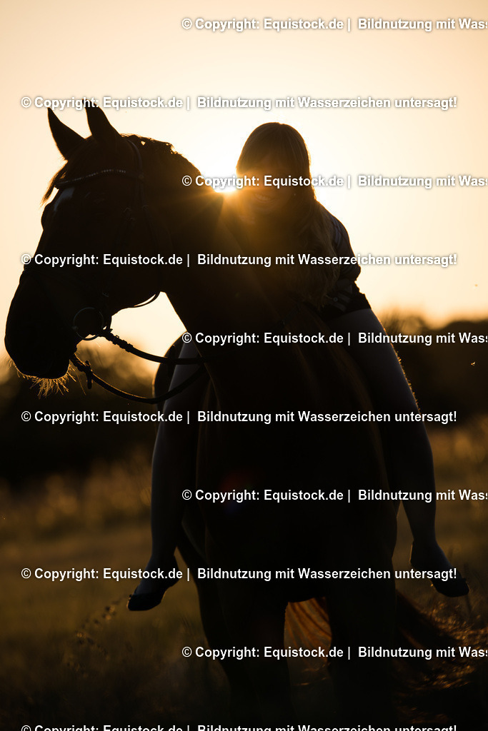 20150715_TOMsPiC_0222 | equistock