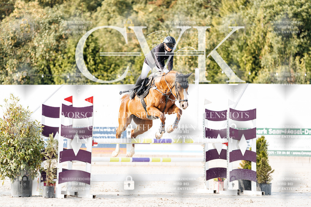 CK903301 | Turnierfotografie Pferdefotografie Trier Rheinland-Pfalz Pferdesport Reitsport Tierfotografie Sportfotografie Pferdevideo Pferdevideografie Equestrianvideography equestrianphotography  - Realisiert mit Pictrs.com