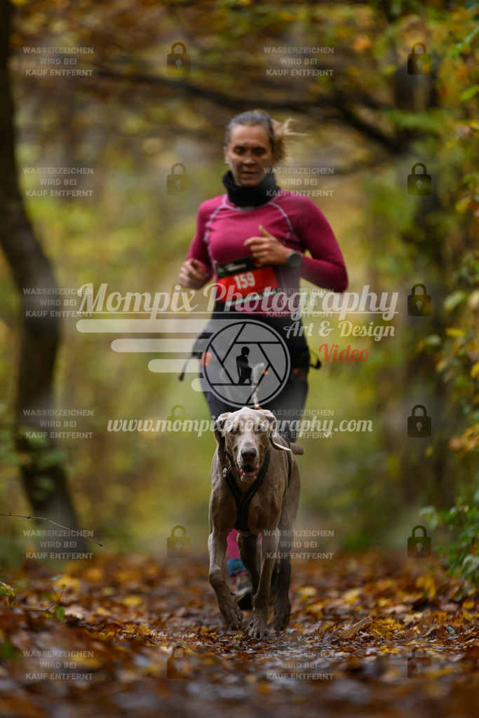 MompixPhotography_CD7S_DI_CCL-152 | mompixphotography