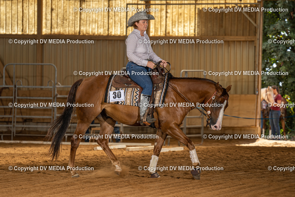 NID01881 | dv-media-shop - Realisiert mit Pictrs.com